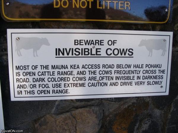 beware_of_invisible_cows.jpg