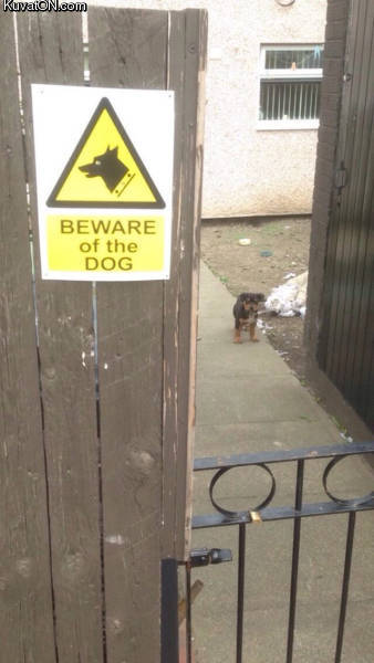 beware_of_the_dog2.jpg
