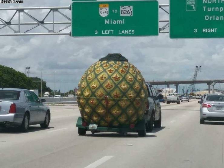 big_pineapple.jpg