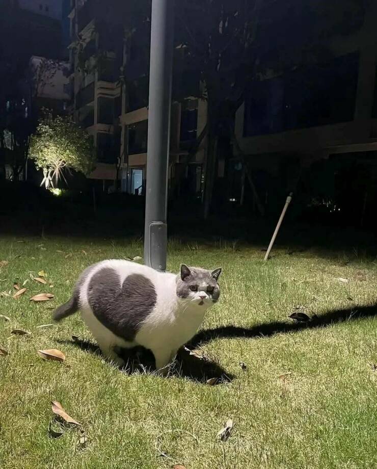 bighearth.jpg