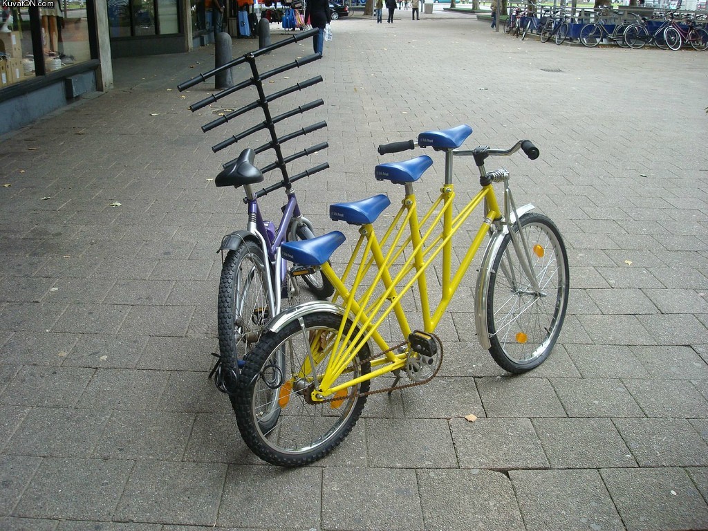 bikes3.jpg