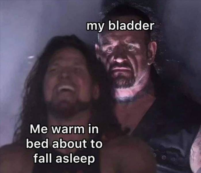 bladder.jpg