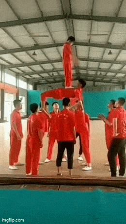 boing_boing_2.gif