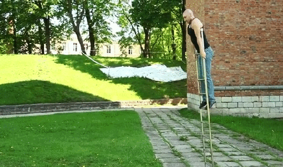 boingss8.gif