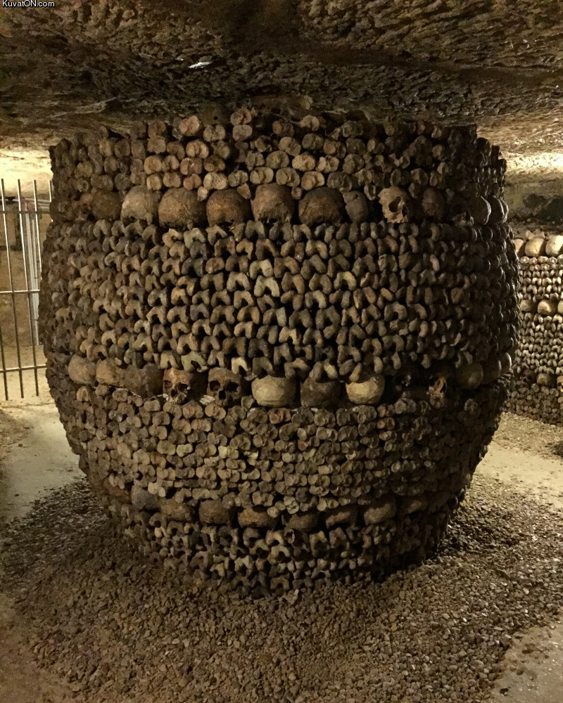 bones_in_paris_catacombs.jpg