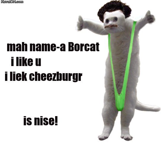 borcat.jpg