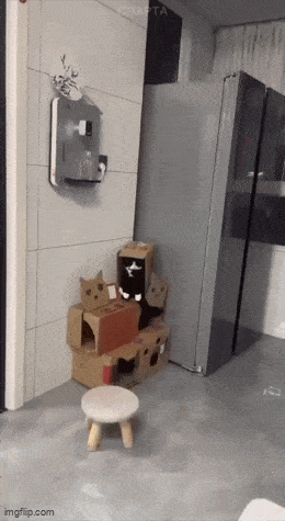 boxcat3.gif