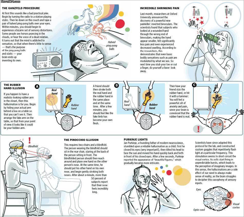 brain_hacking.jpg