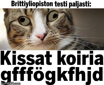 brittitutkimus.jpg