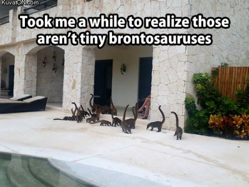 brontosaur.jpg