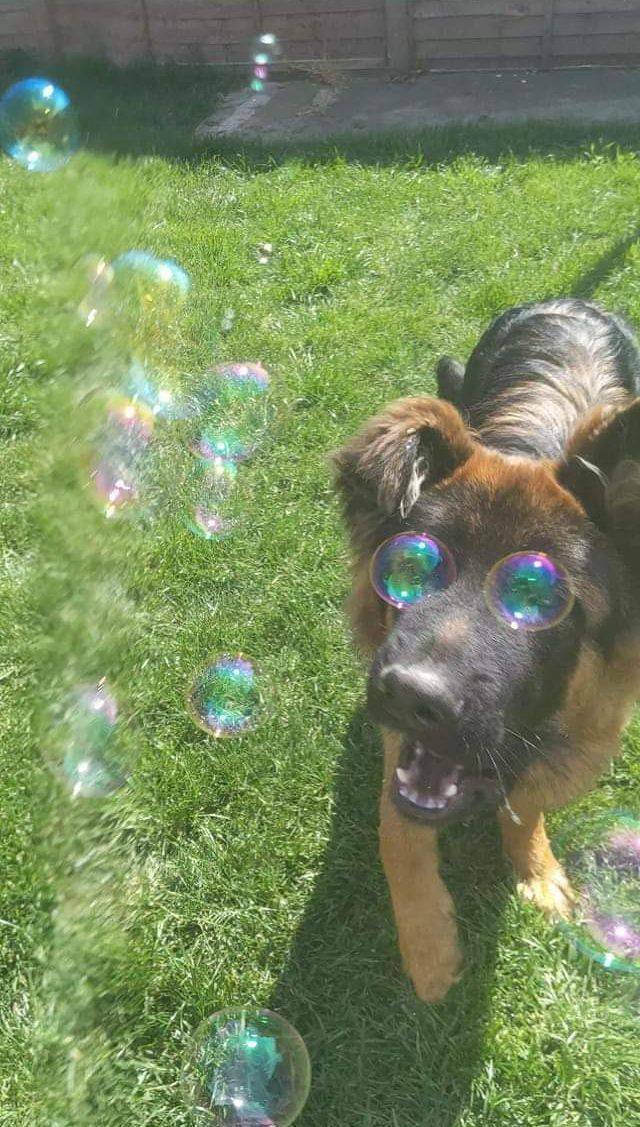 bubble_eyes.jpg