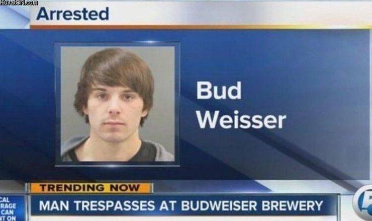 budweisser.jpg
