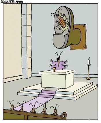 bugs_church.jpg