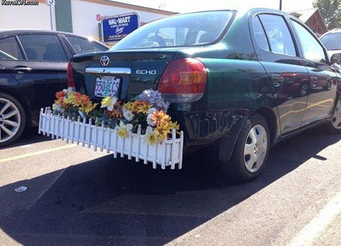 bumper_garden.jpg