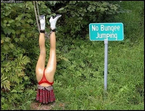 bungee_jumping.jpg