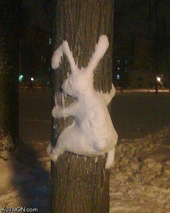 bunny_street_art.jpg