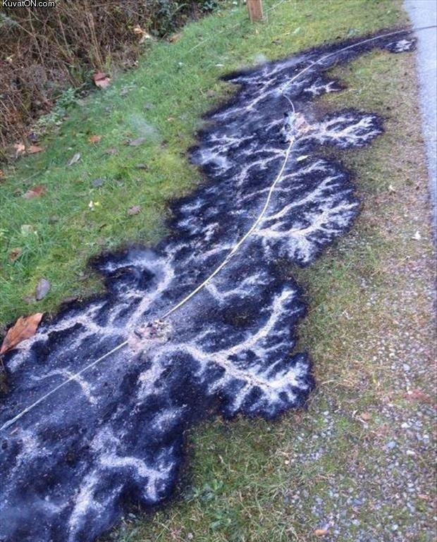 burned_pattern_from_a_downed_electrical_line.jpg