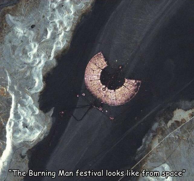burningmanfestival.jpg
