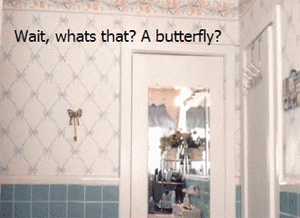 butterfly.gif
