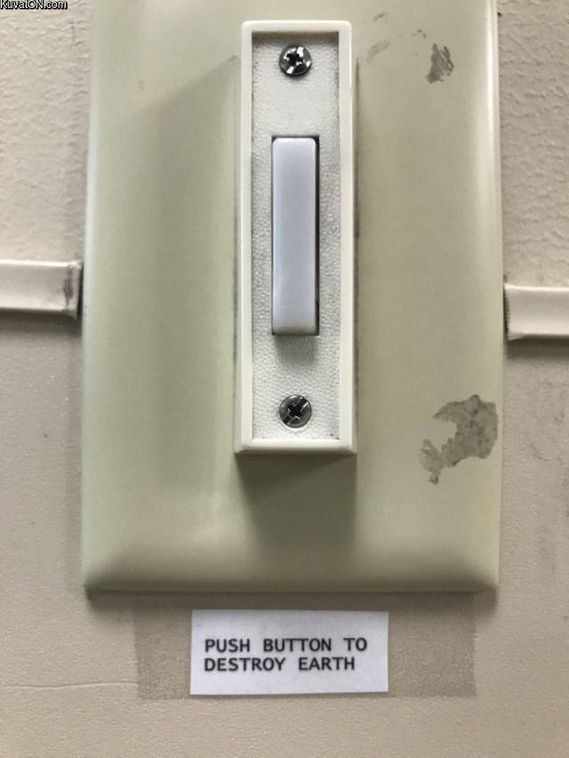 button5.jpg