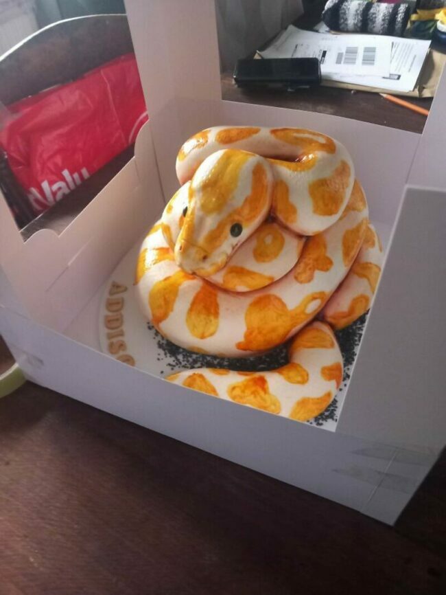 cake023.jpg
