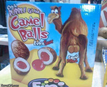 camel_balls.jpg