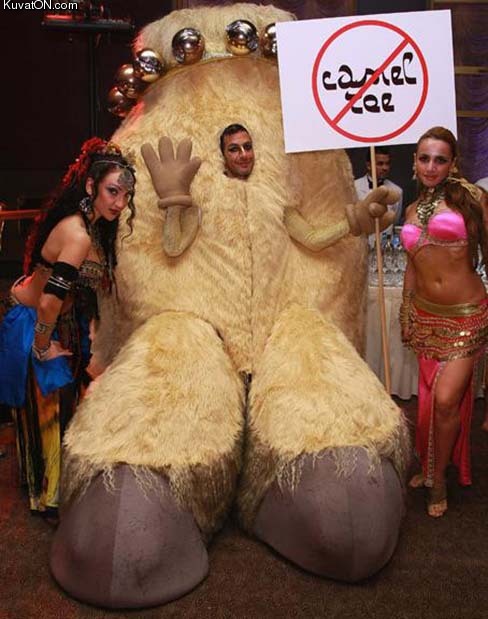 camel_toe_costume.jpg
