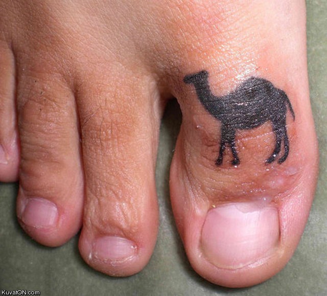 camel_toe_tattoo.jpg
