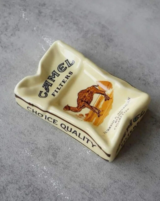 camelaski.jpg