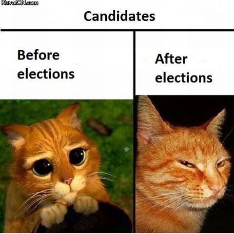candidates_before_after.jpg