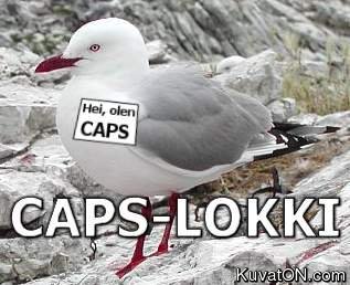 caps-lokki.jpg