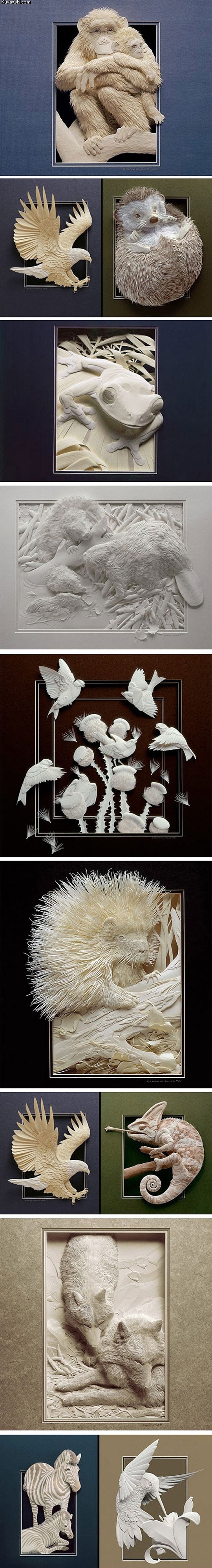 captivating_paper_art_by_calvin_nicholls.jpg