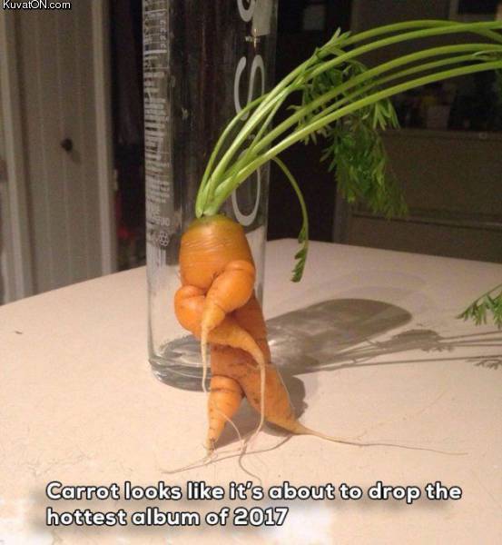 carrot_5.jpg