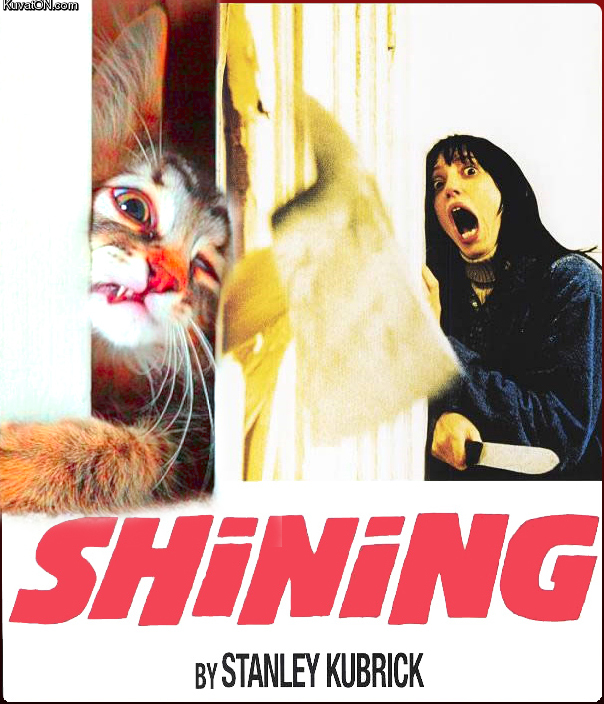 cat72_shining_edition.jpg