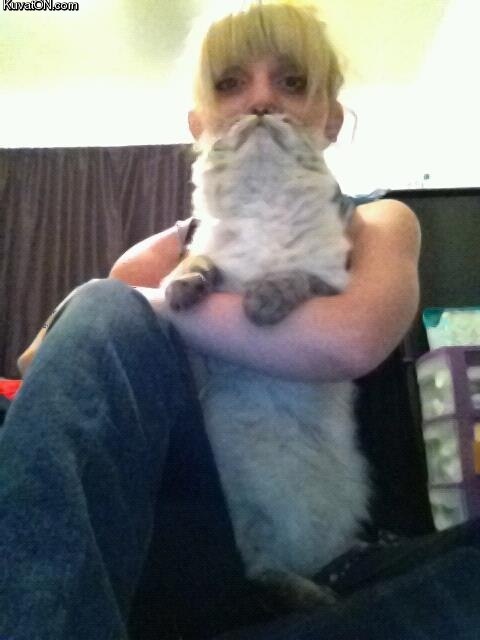 cat_beard2.jpg