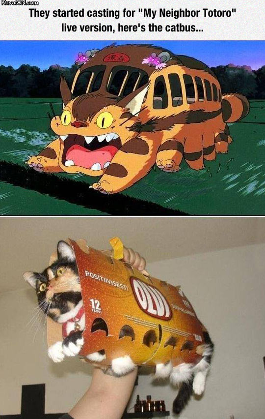 cat_bus_cosplay.jpg