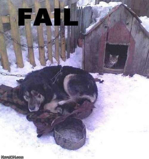cat_dog_fail.jpg