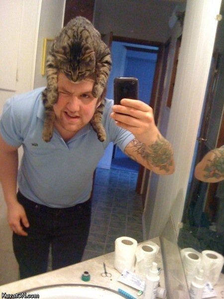 cat_hat.jpg