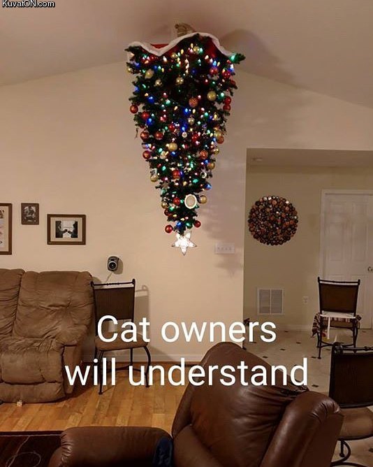 cat_owners_will_understand.jpg