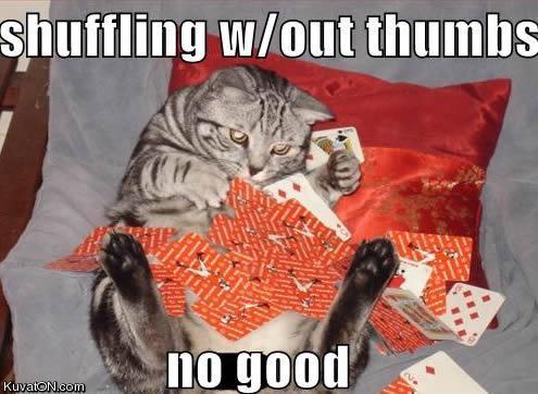 cat_shuffling.jpg