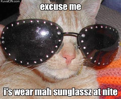 cat_sunglassz.jpg