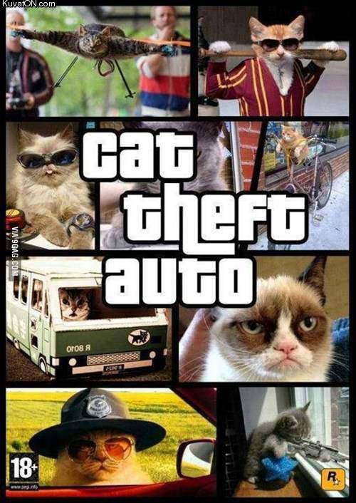 cat_theft_auto.jpg