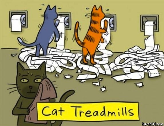 cat_treadmills.jpg