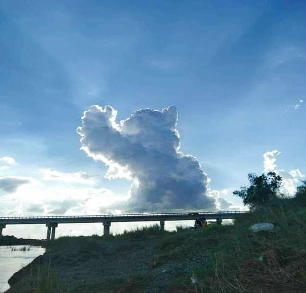 catcloud.jpg