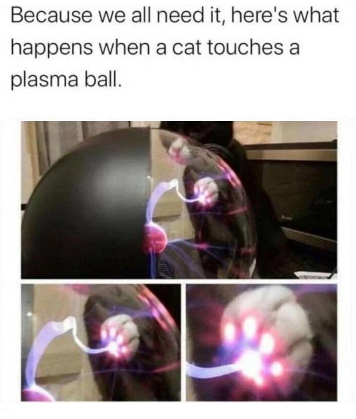 catpaw3.jpg