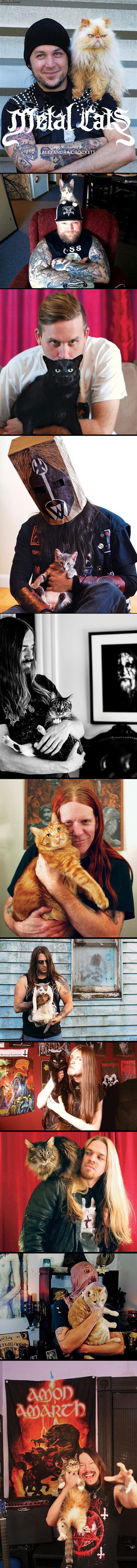 cats_of_metal.jpg