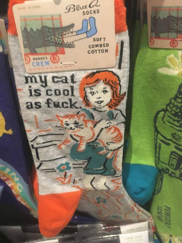 catsocks3.jpg
