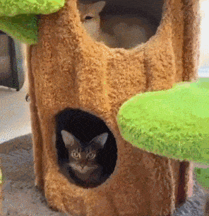 cattree.gif