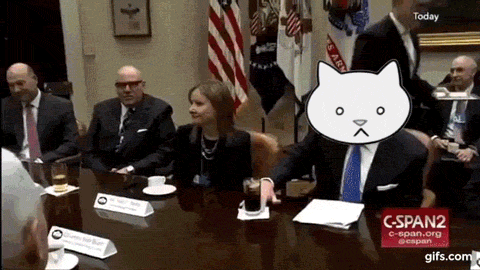 cattrump.gif
