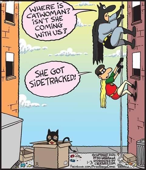 catwoman3.jpg
